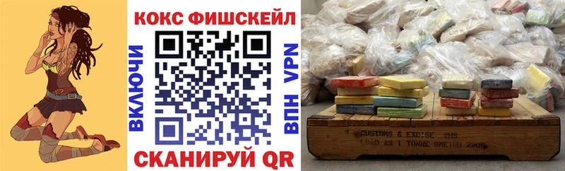 COCAIN Fish Scale  купить   Анжеро-Судженск 