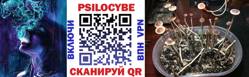 Галлюциногенные грибы мицелий  Анжеро-Судженск 